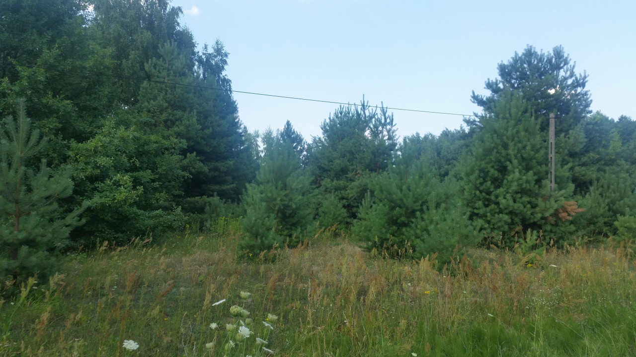 Działka rolna Grabina. Zdjęcie 2