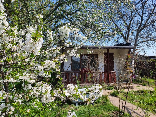 Działka rekreacyjna Kalisz Piskorzewie, ul. Złota. Zdjęcie 1