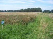 Działka rolna Dudka. Zdjęcie 2