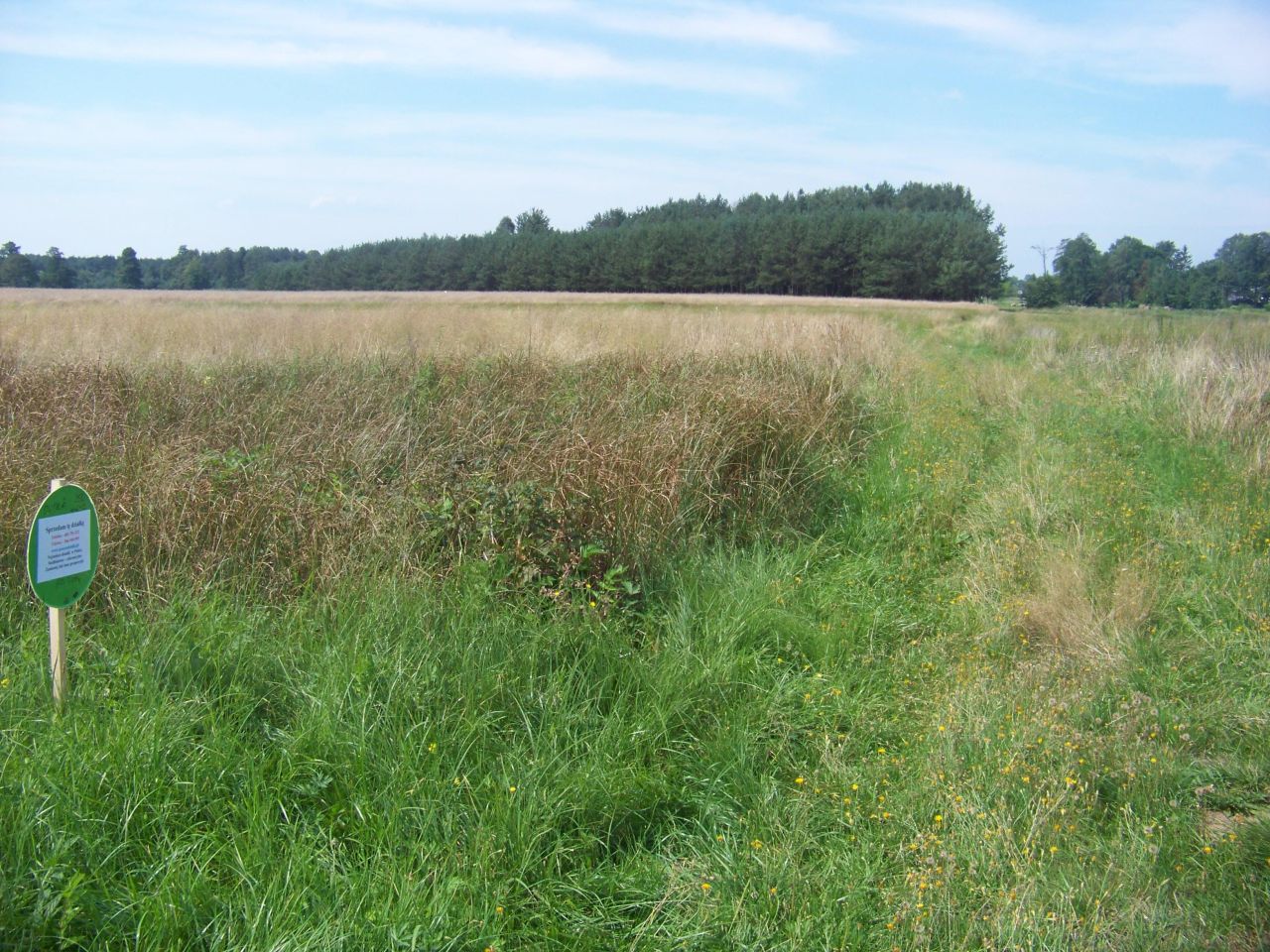 Działka rolna Dudka. Zdjęcie 3