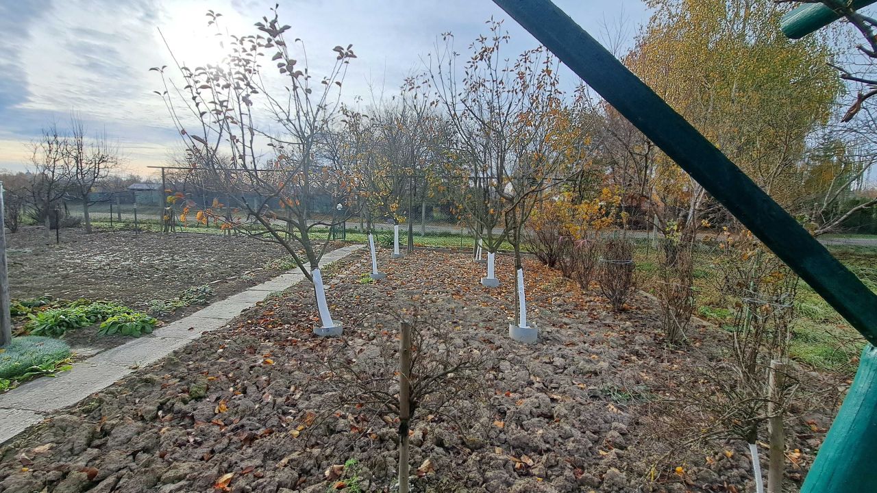 Działka rod Biłgoraj. Zdjęcie 4