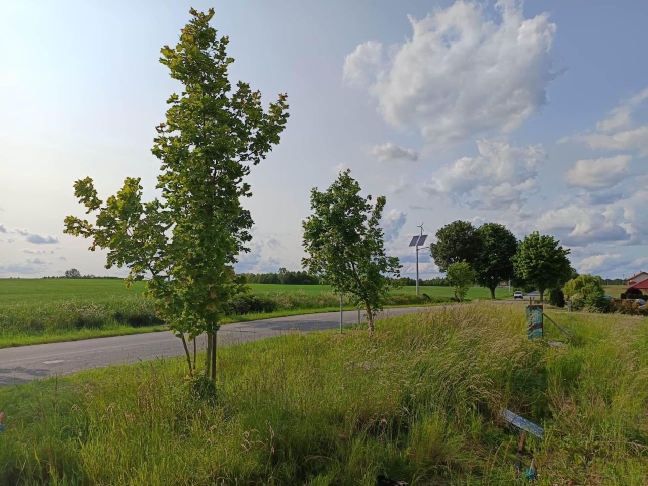 Działka budowlana Wądzyn. Zdjęcie 12