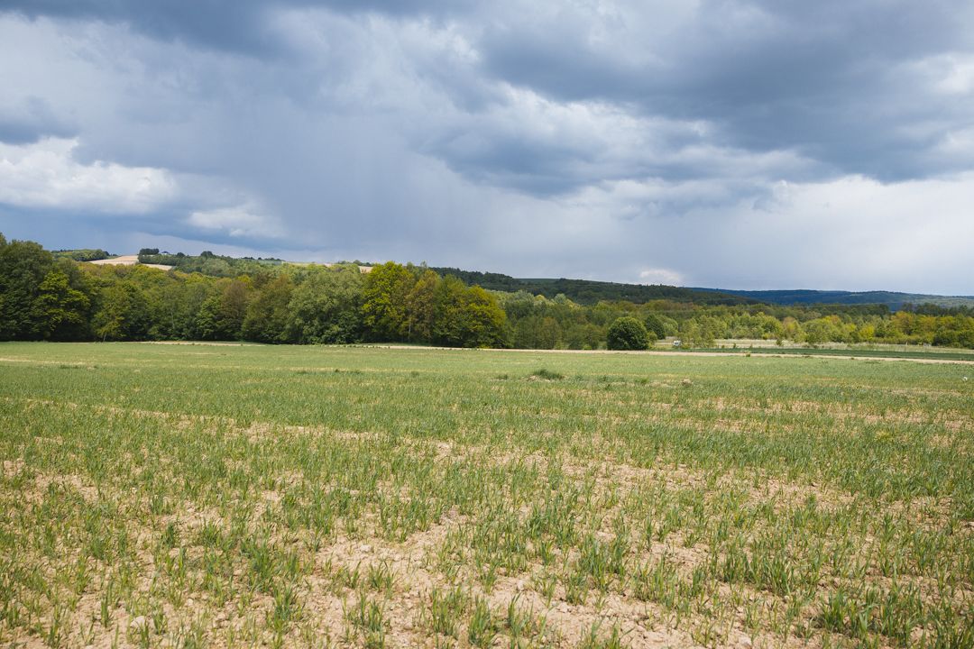 Działka budowlana Dynów, ul. Węgierska. Zdjęcie 4