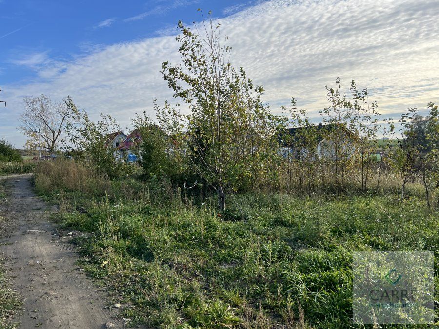 Działka Warnik. Zdjęcie 3