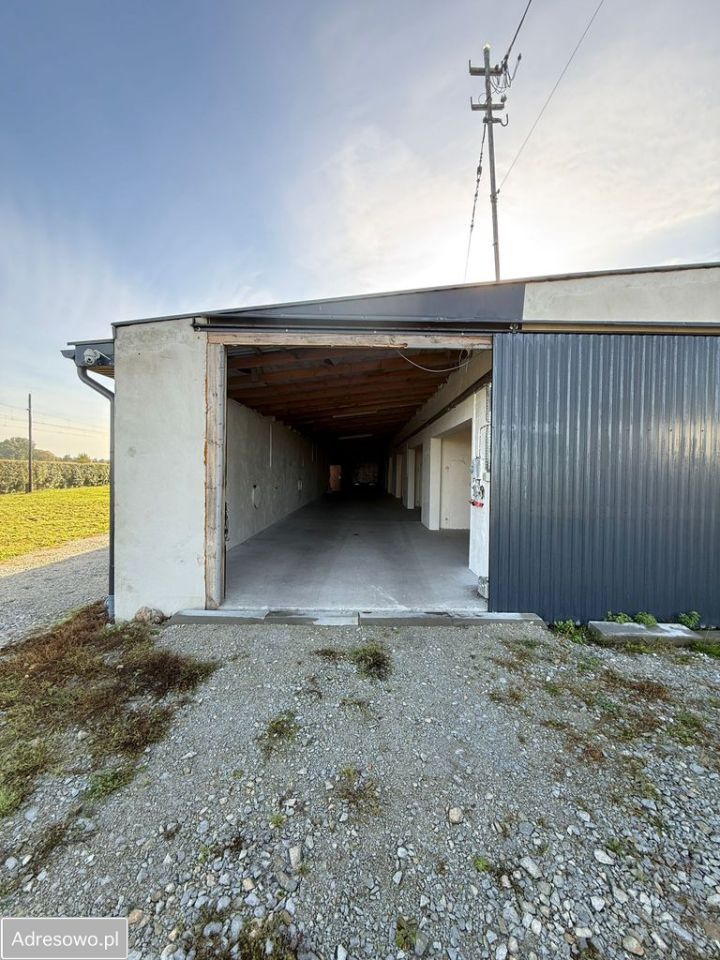 Hala/magazyn Pielgrzymowice. Zdjęcie 19