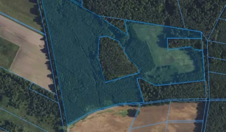 Działka leśna Radęcin