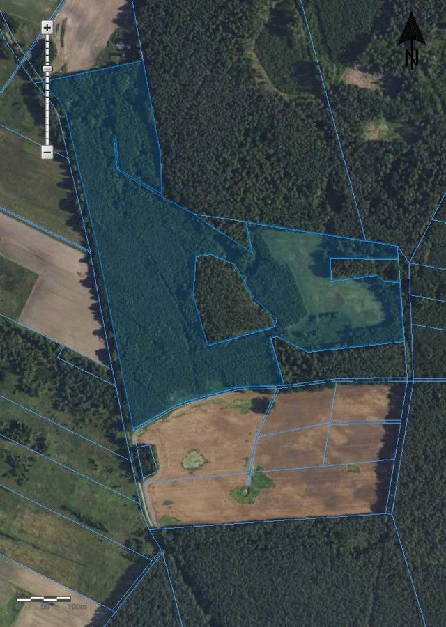 Działka leśna Radęcin. Zdjęcie 1