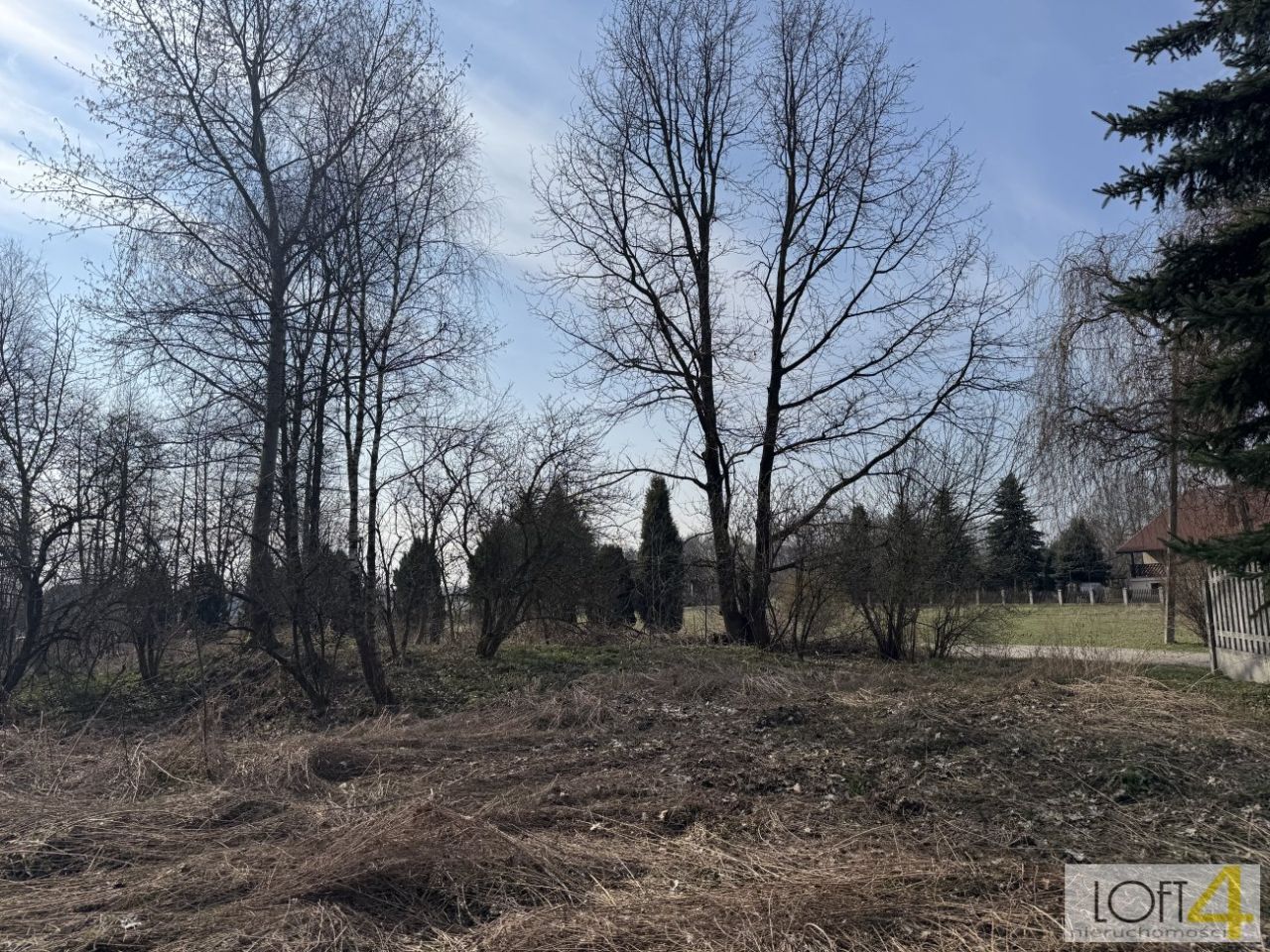 Działka rolno-budowlana Dołęga. Zdjęcie 13