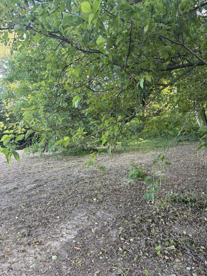 Działka budowlana Skrzyszów. Zdjęcie 5