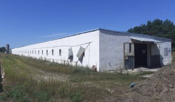 Hala/magazyn Kiełcz. Zdjęcie 1