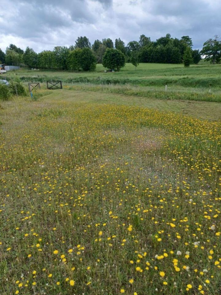 Działka budowlana Nowa Wieś Przywidzka, ul. Zielona. Zdjęcie 7