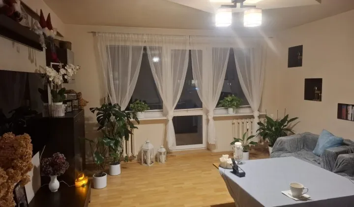 Mieszkanie 4-pokojowe Szczecin Centrum