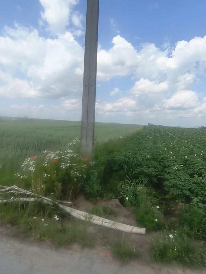 Działka rolno-budowlana Polekarcice. Zdjęcie 5