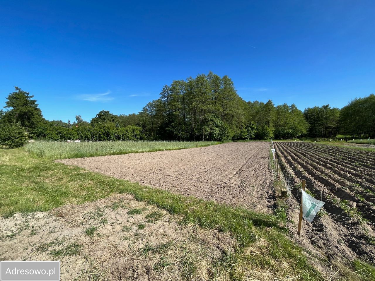 Działka budowlana Zarzecze. Zdjęcie 11