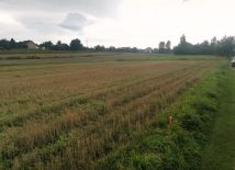 Działka rolna Przecieszyn. Zdjęcie 1