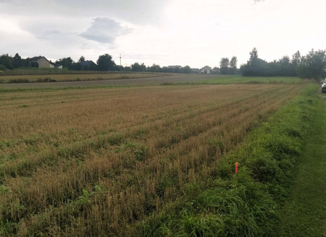 Działka rolna Przecieszyn. Zdjęcie 2