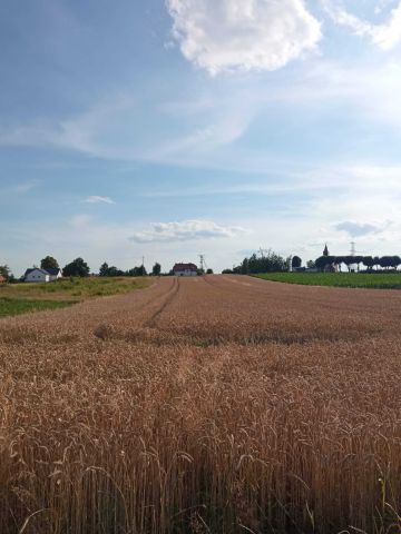 Działka budowlana Boleścin. Zdjęcie 1