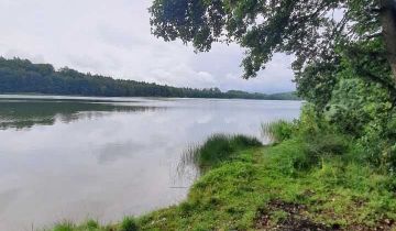 Działka leśna Borek Kamienny