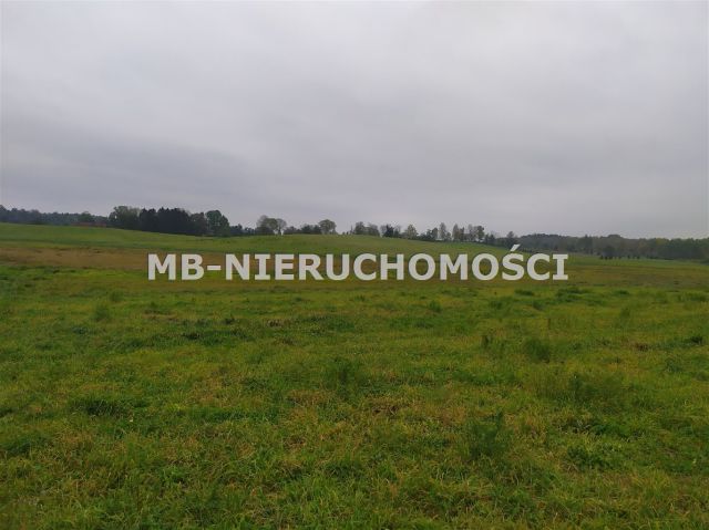 Działka rolna Sorkwity. Zdjęcie 14