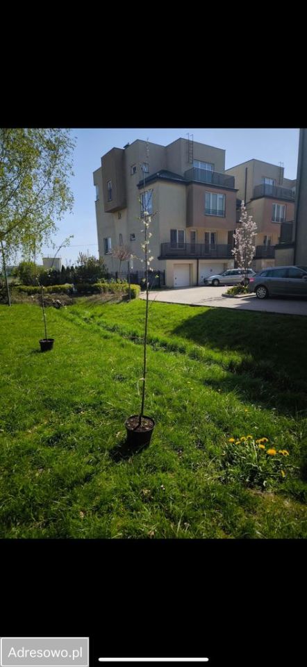 Mieszkanie 7-pokojowe Lesznowola. Zdjęcie 12