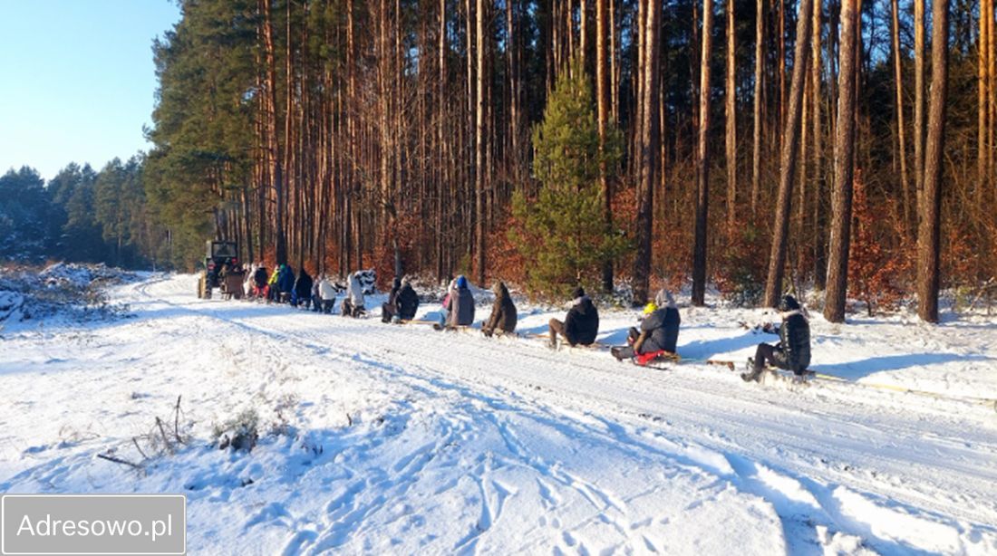 Działka rolna Kruteczek. Zdjęcie 5