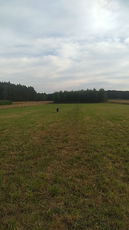 Hala/magazyn Rzechta Drużbińska. Zdjęcie 4