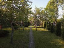 Działka rod Gliwice Ligota Zabrska. Zdjęcie 1