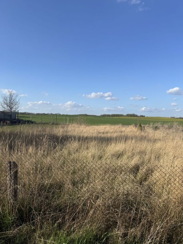 dom szeregowy Ziemomyśl B. Zdjęcie 4