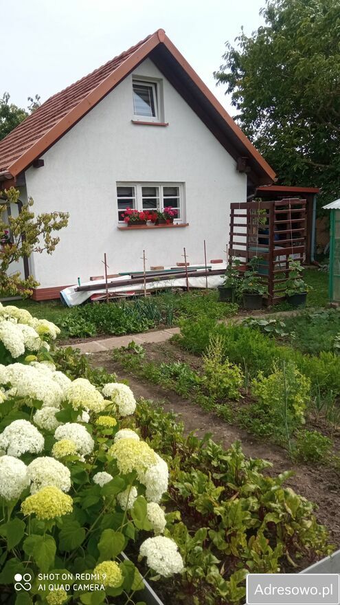 Działka rekreacyjna Słupsk. Zdjęcie 12