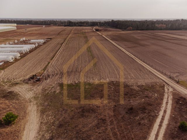 Działka budowlana Zakroczym Duchowizna, ul. Duchowizna. Zdjęcie 3