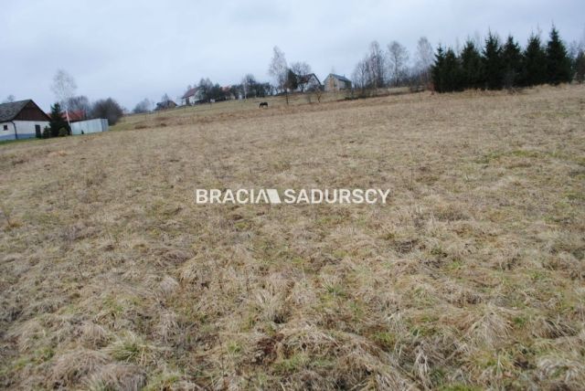 Działka rolna Głogoczów. Zdjęcie 4