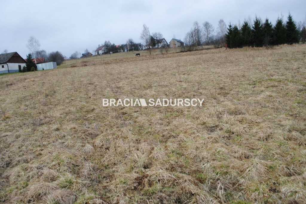 Działka rolna Głogoczów. Zdjęcie 4