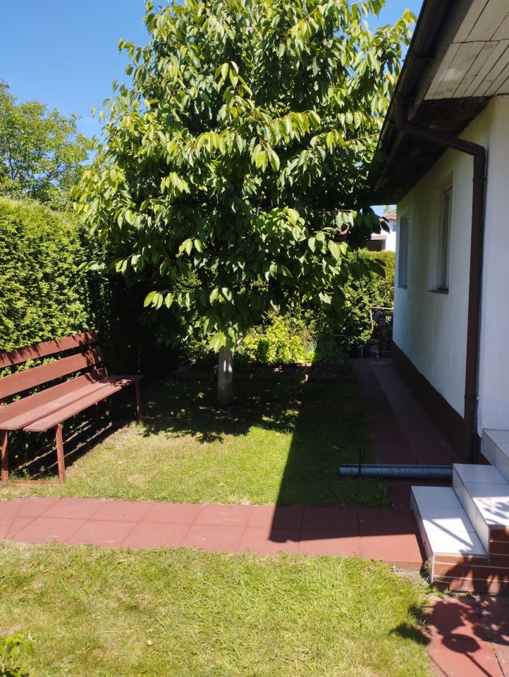 Działka rod Pawlikowice. Zdjęcie 16