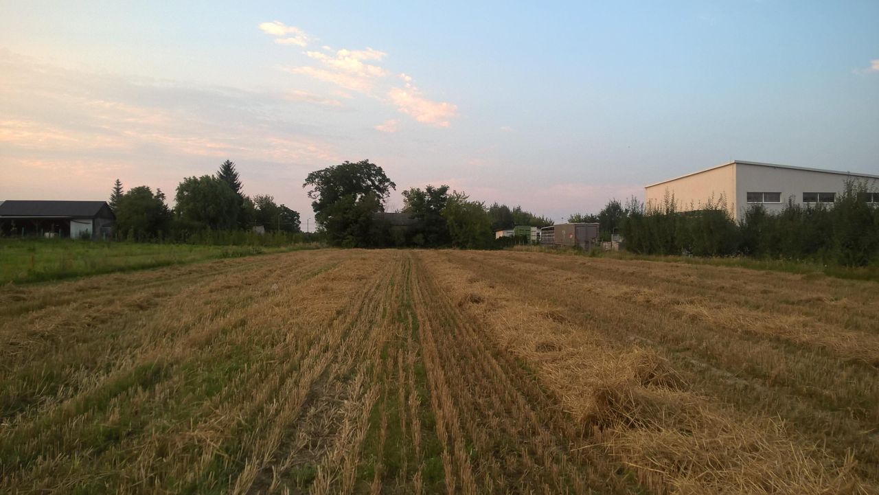Działka rolno-budowlana Broniszew. Zdjęcie 6