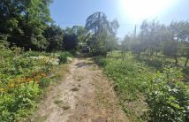 Działka siedliskowa Kaliszany-Kolonia. Zdjęcie 1