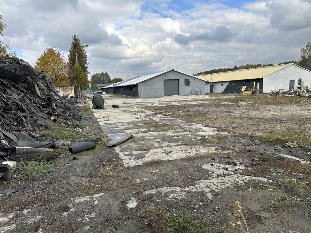 Działka Mikołów Borowa Wieś, ul. Hetmana Stefana Czarnieckiego. Zdjęcie 8