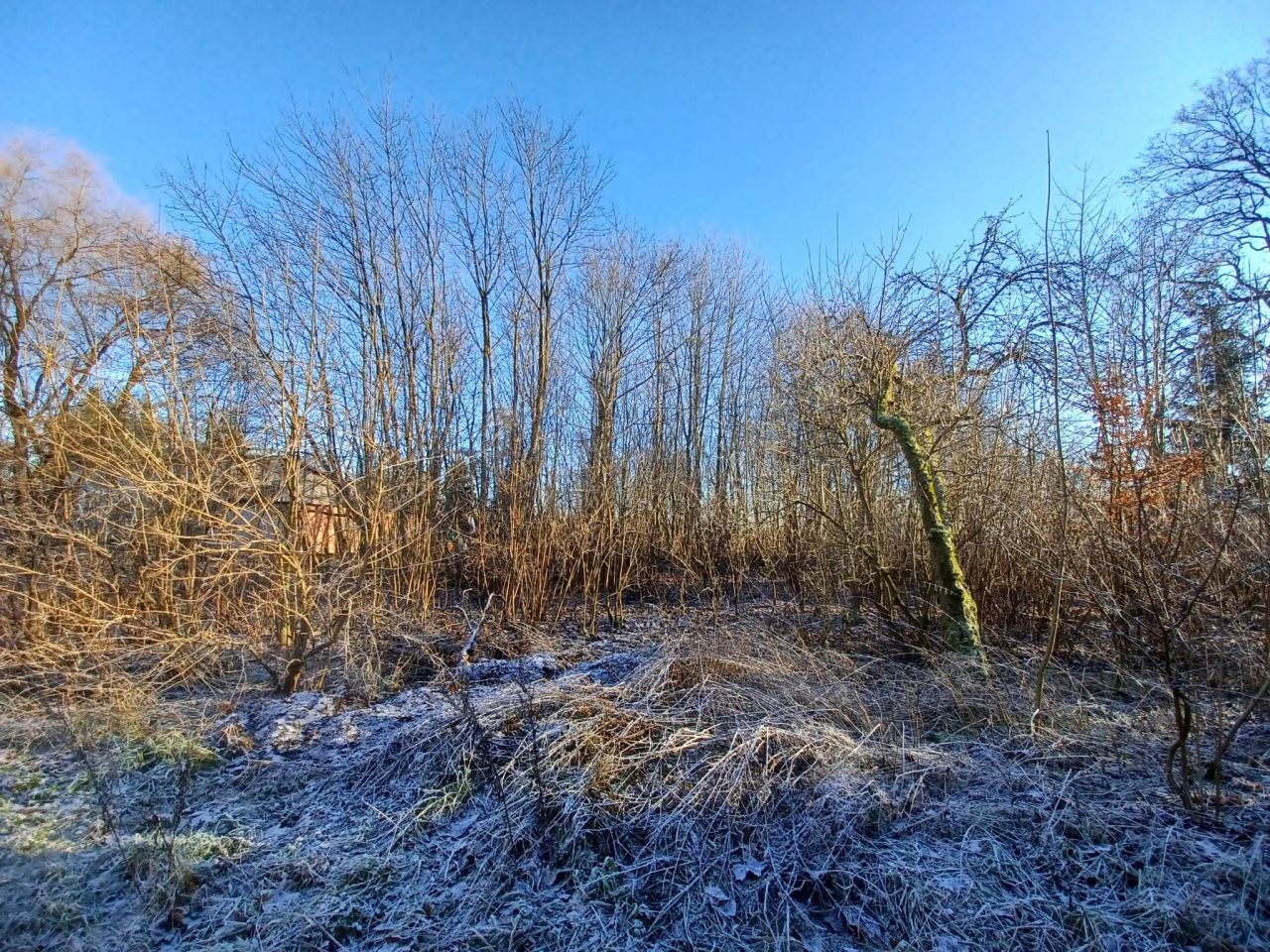 Działka rolna Krągłe. Zdjęcie 9