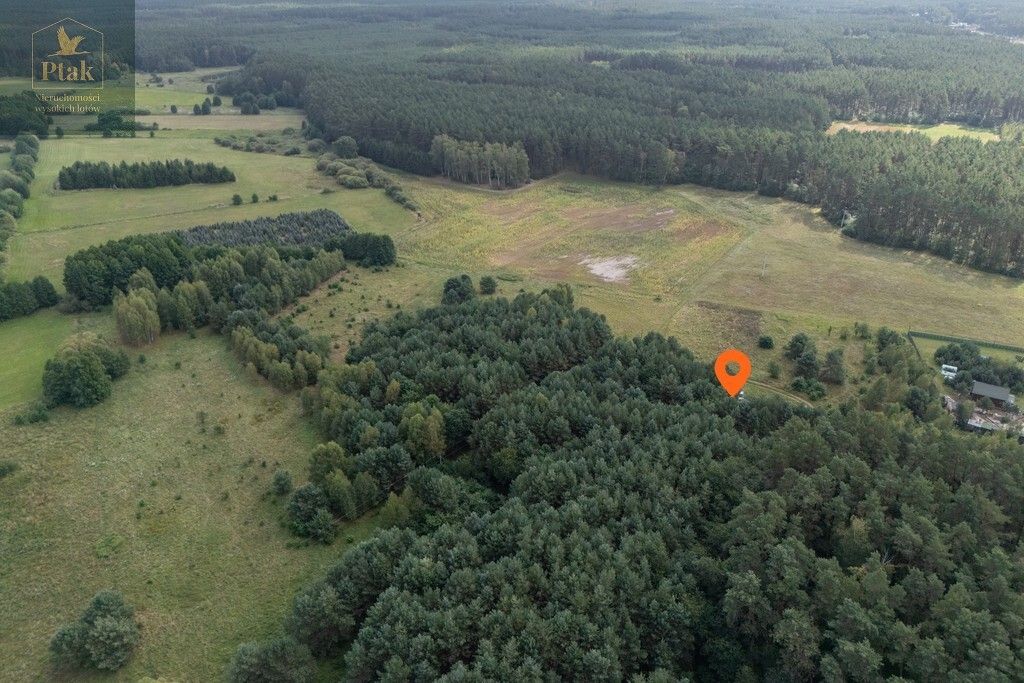 Działka rolna Obrzycko. Zdjęcie 9