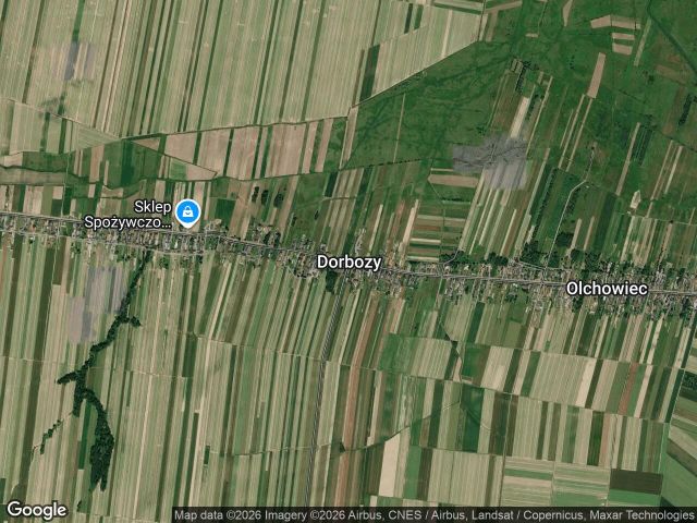 Działka rolna Dorbozy. Zdjęcie 1