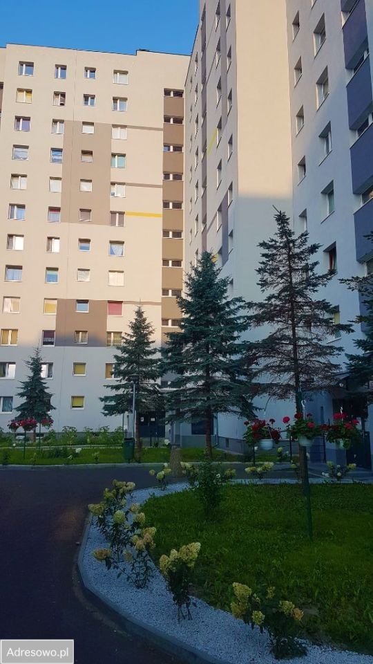 Mieszkanie 2-pokojowe Zielona Góra, ul. Osiedle Pomorskie