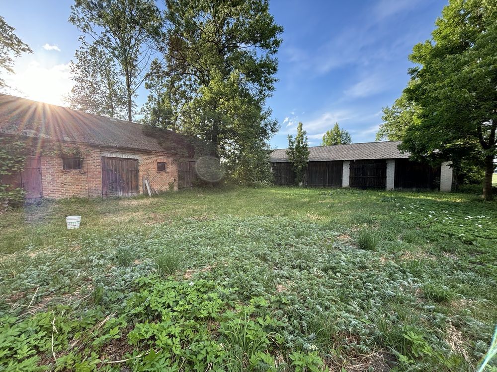 Działka siedliskowa Honiatycze. Zdjęcie 7