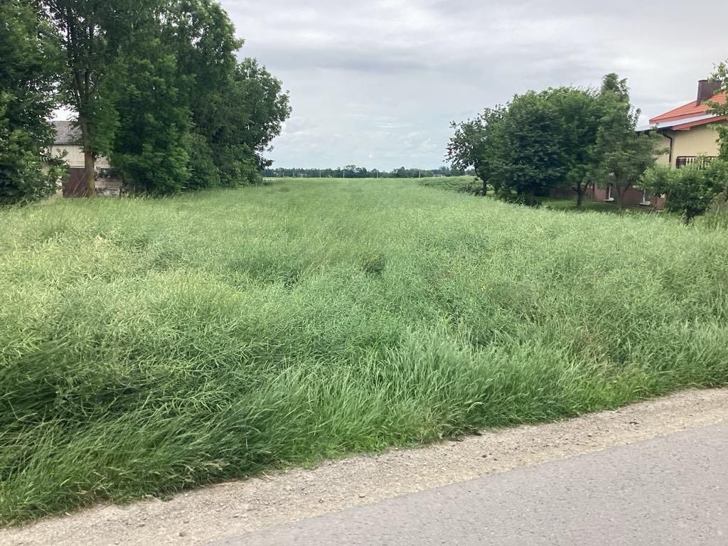 Działka rolno-budowlana Kierz. Zdjęcie 2