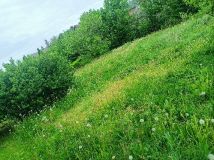 Działka budowlana Bolesław, ul. Wyzwolenia. Zdjęcie 2