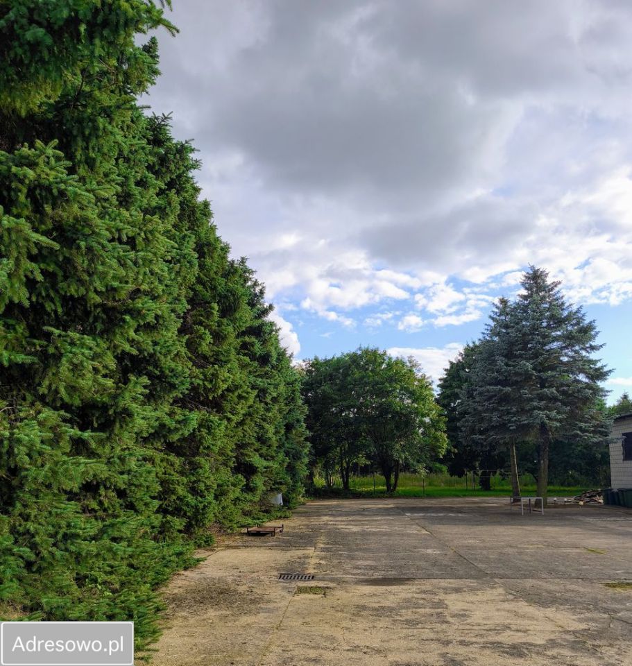 Działka budowlana Przasnysz. Zdjęcie 3