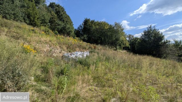 dom wolnostojący, 5 pokoi Dziwiszów, ul. Karkonoska. Zdjęcie 6