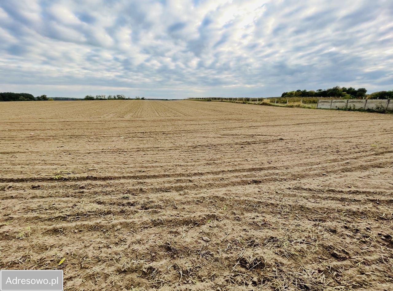 Działka siedliskowa Przysieka. Zdjęcie 7