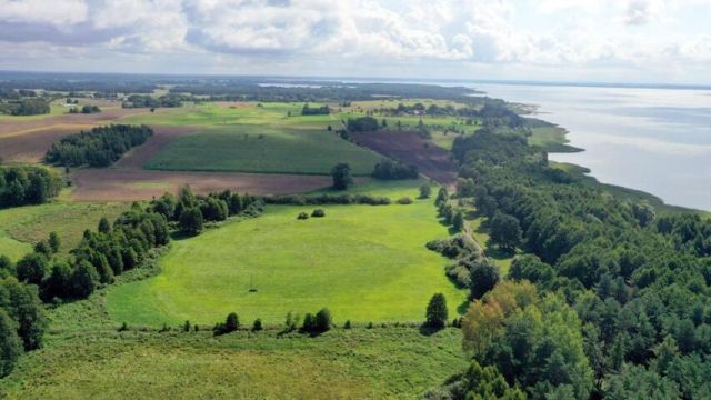 Działka rolna Dziubiele. Zdjęcie 7