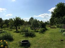 dom wolnostojący, 3 pokoje Jasiów. Zdjęcie 4