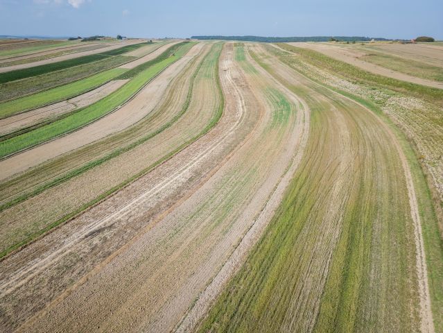 Działka rolno-budowlana Sułoszowa, ul. Wielmoska. Zdjęcie 4