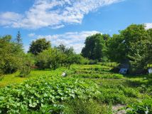 Działka budowlana Chełm, ul. Metalowa. Zdjęcie 1